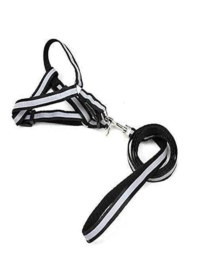 Pups&Pets 15MM Soft Nylon Paw Print Reflected Strip Harness & Leash Set for Small Dog, Cats and Kittens Outdoor Walking/Training (Color May Vary) - Image 1
